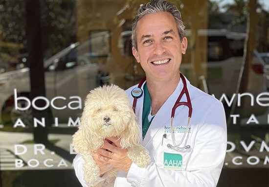 Veterinario con perro en clínica veterinaria

